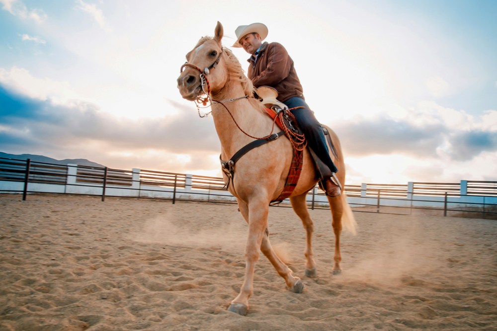 San Antonio Stock Show and Rodeo 2020 Country Concerts