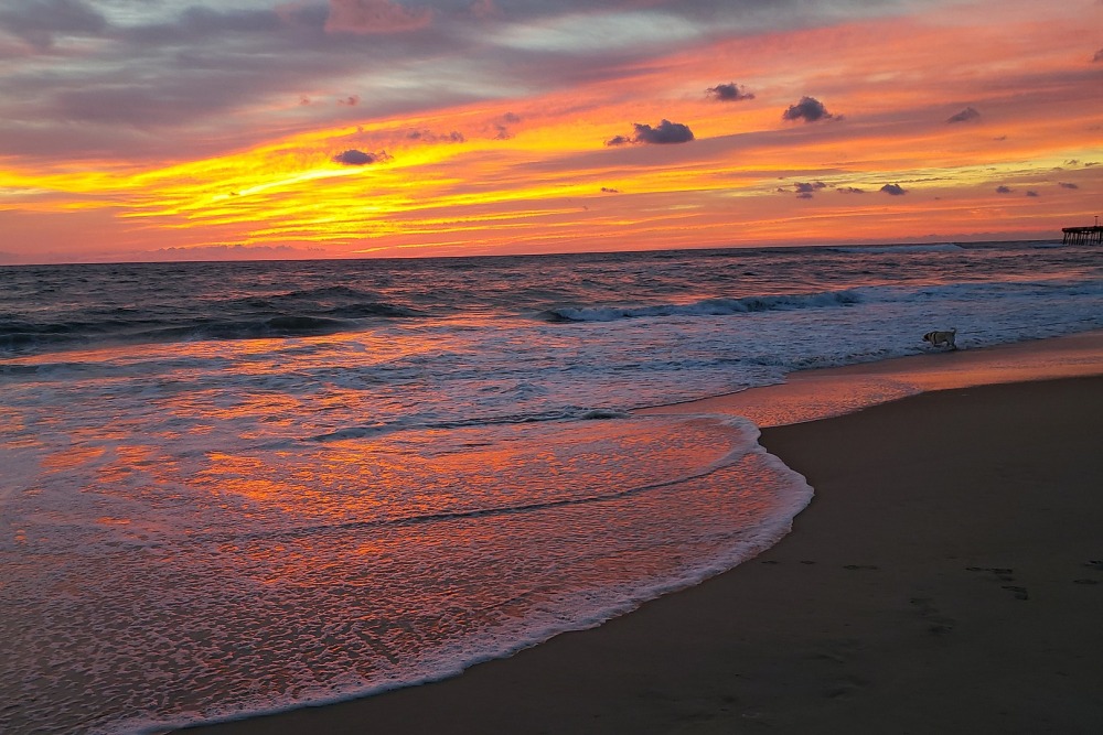 5 Things to Consider Before Venturing to the Outer Banks